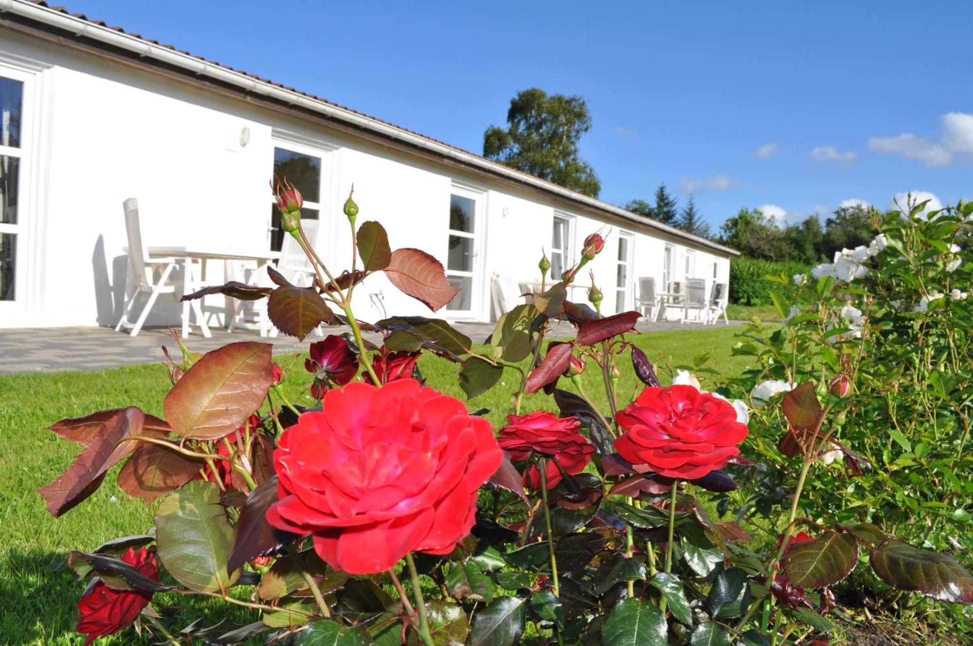 Koebenhovedskov Bed & Breakfast Rødding エクステリア 写真